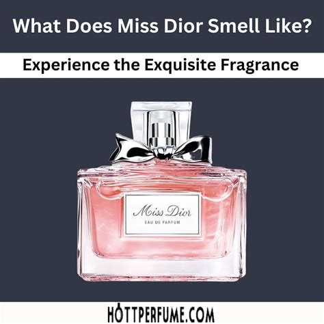 miss dior lov|what does miss dior smell like.